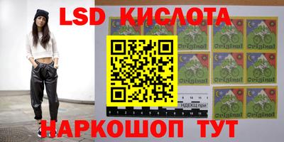 ПСИЛОЦИБИНОВЫЕ ГРИБЫ Владимир