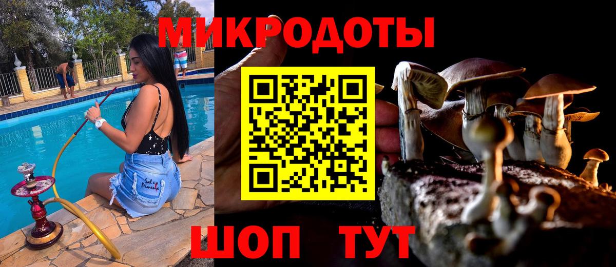 Псилоцибиновые грибы мухоморы Горно-Алтайск