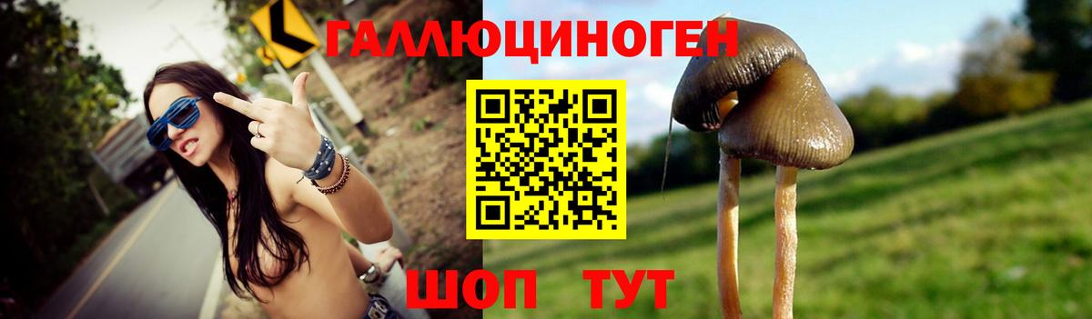 Галлюциногенные грибы мицелий  Вход с VPN  Псилоцибиновые грибы Magic Shrooms  Горно-Алтайск 